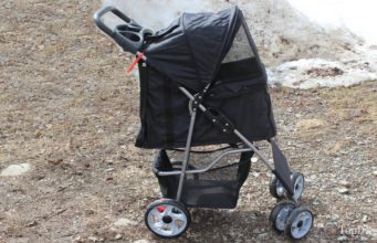 Review: VIVO Four Wheel Pet Stroller VIVO Four Wheel Pet Stroller Review