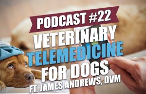 TOP #21: Veterinary Telemedicine for Dogs