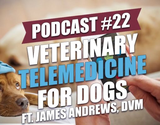 TOP #21: Veterinary Telemedicine for Dogs