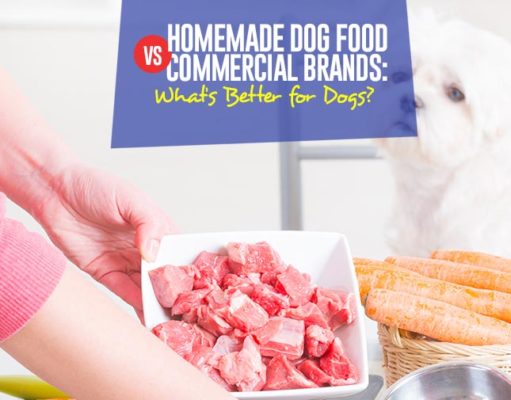 Homemade Dog Food vs Commercial Brands: What’s Better for Dogs? Guide on Homemade Dog Food vs Commercial Brands