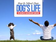 How to Extend Your Dog’s Life by Assessing Body Condition Guide on How to Extend Your Dog’s Life by Accurately Assessing Body Condition