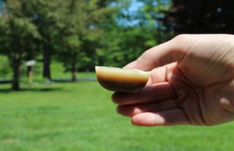 Homemade Flea Prevention Dog Treats Recipe Homemade Flea Prevention Dog Treats Recipe