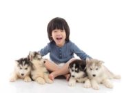 Kids Feel Closer to Their Dogs than Their Brothers and Sisters Kids Feel Closer to Their Dogs than Their Brothers and Sisters