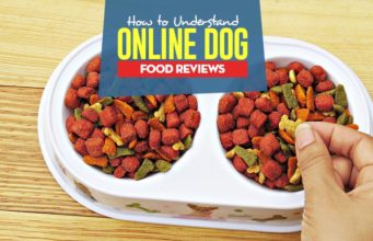 How to Read Online Dog Food Reviews to Pick the Best Dog Foods The Guide on How to Read Online Dog Food Reviews to Pick the Best Dog Foods