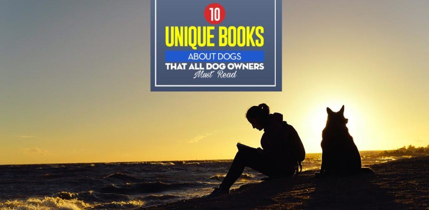 10 Unique Best Books About Dogs That All Dog Owners Must Read
