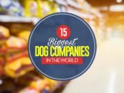 15 Biggest Dog Companies in the World and Their Most Popular Brands Top 15 Biggest Dog Companies in the World and Their Most Popular Brands