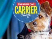 The 5 Best Dog Carrier Slings Top 5 Best Dog Carrier Slings