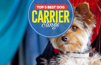 The 5 Best Dog Carrier Slings Top 5 Best Dog Carrier Slings