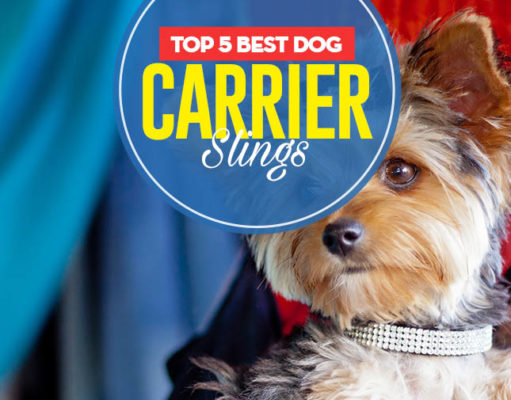 The 5 Best Dog Carrier Slings Top 5 Best Dog Carrier Slings