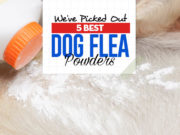 5 Best Dog Flea Powder Brands Top 5 Best Dog Flea Powders