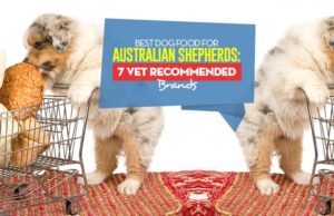Best Dog Food for Australian Shepherds: 7 Vet-Recommended Brands (Updated 2023) Top Best Dog Foods for Australian Shepherds
