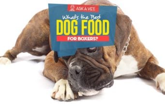 Best Dog Food for Boxers: 7 Vet Recommended Brands Top Best Dog Foods for Boxers