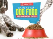 Best Dog Food for German Shorthair Pointers: 7 Vet-Recommended Brands Top Best Dog Foods for German Shorthair Pointers