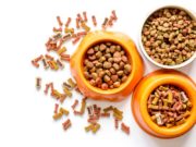 What Dog Food Is Good for Dogs and Why?