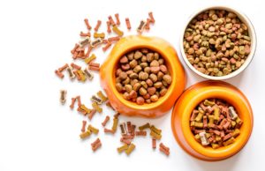 What Dog Food Is Good for Dogs and Why?