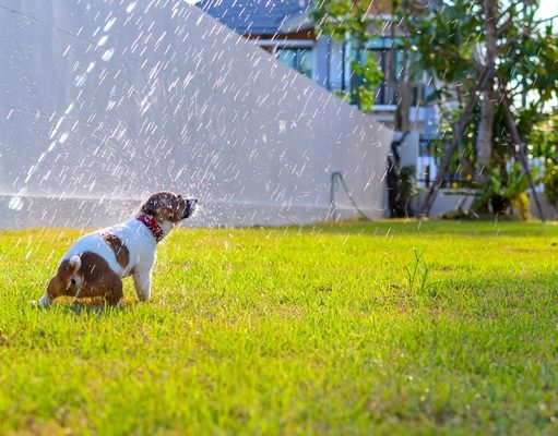 5 Best Misting Cooling Systems for Dogs Top best misting cooling systems for dogs