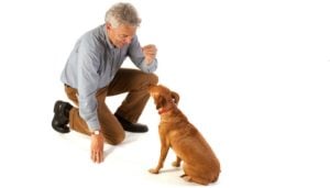 Master the Wait or Leave it Command