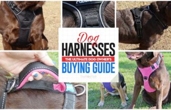 Dog Harnesses: The Ultimate Buyer’s Guide Dog Harnesses The Ultimate Buyer's Guide for Owners