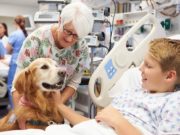 Dogs Now Help Treat Cancer in Kids Dogs Now Help Treat Cancer in Kids