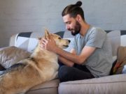 Empathetic People Can Better Interpret Dogs’ Expressions Empathetic People Can Better Interpret Dogs Expressions