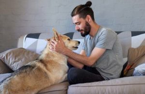 Empathetic People Can Better Interpret Dogs’ Expressions Empathetic People Can Better Interpret Dogs Expressions