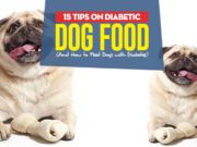15 Tips on Diabetic Dog Food and How to Feed Dogs with Diabetes Top 15 Tips on Diabetic Dog Food and How to Feed Dogs with Diabetes
