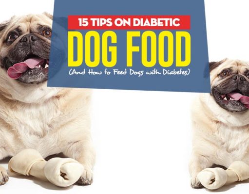 15 Tips on Diabetic Dog Food and How to Feed Dogs with Diabetes Top 15 Tips on Diabetic Dog Food and How to Feed Dogs with Diabetes