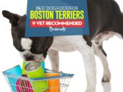 Best Dog Food for Boston Terriers: 9 Vet-Recommended Brands Top Best Dog Food for Boston Terriers