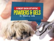 Top 5 Best Dog Styptic Powders & Gels Top Best Dog Styptic Powders featured image