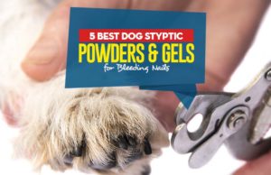 Top 5 Best Dog Styptic Powders & Gels Top Best Dog Styptic Powders featured image