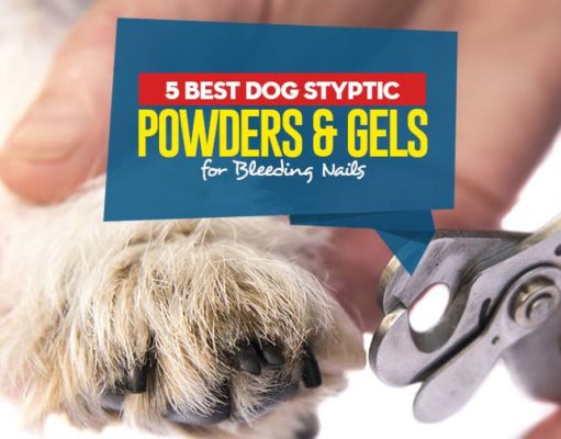 Top 5 Best Dog Styptic Powders & Gels Top Best Dog Styptic Powders featured image