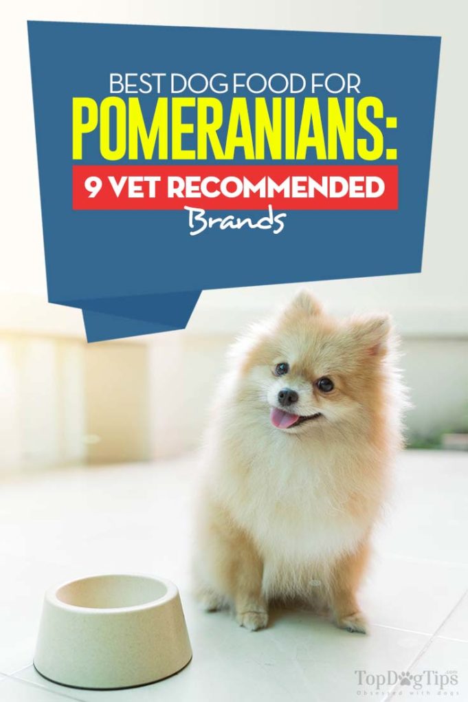 Best Dog Food for Pomeranians Top 8 Brands (Updated 2024)