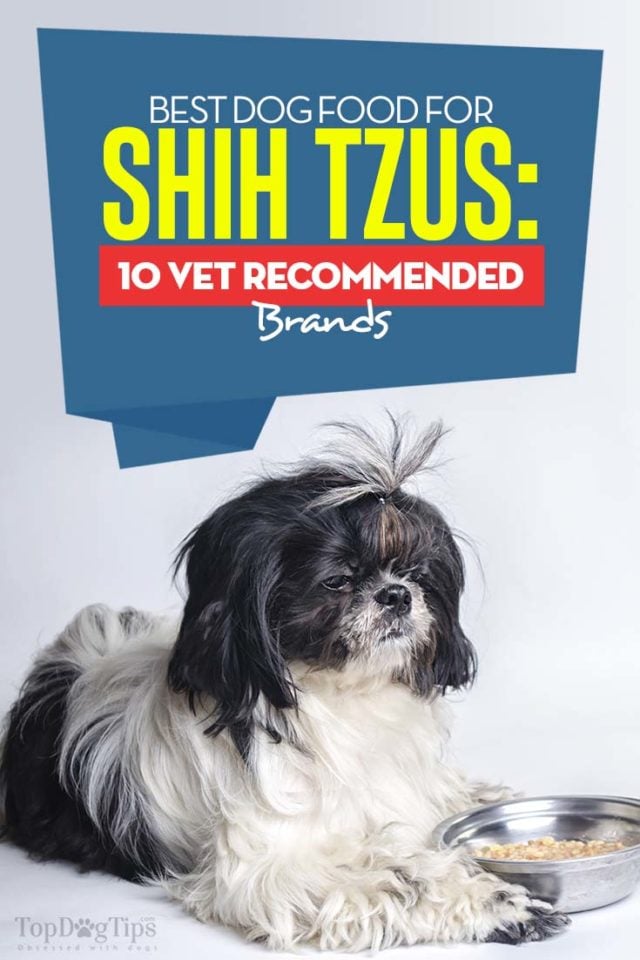 Best Dog Food for Shih Tzus in 2020 (The 10 Vet Brands)