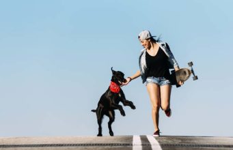 Your Dog Makes Your Life Better, Science Says Your Dog Makes Your Life Better Science Says