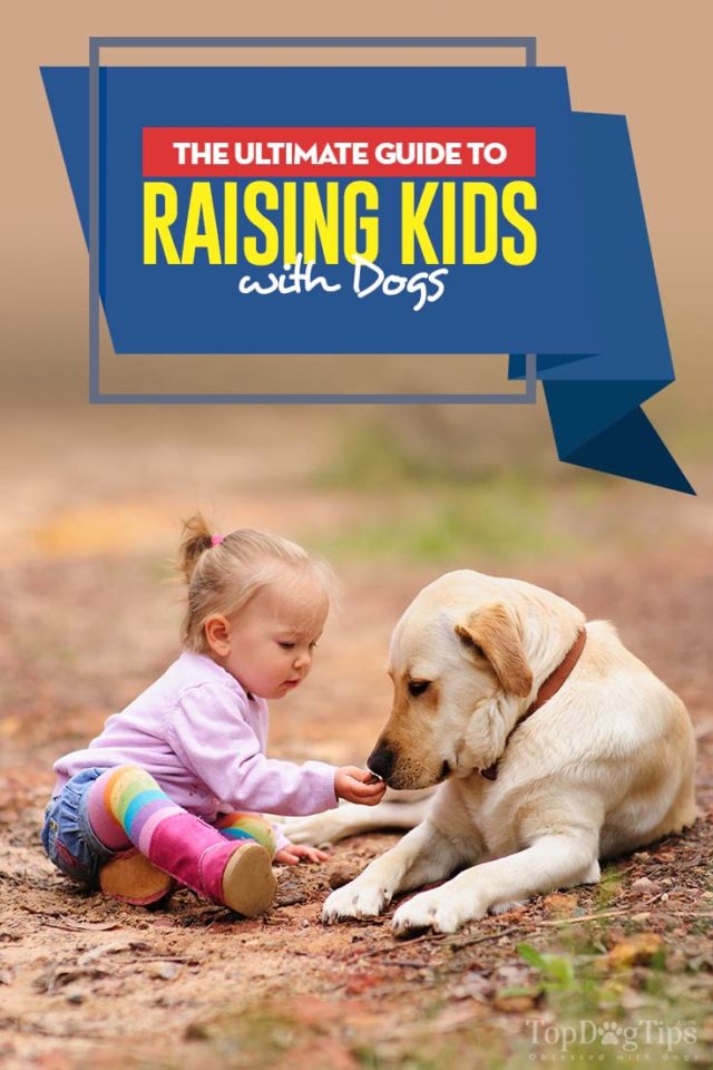 The Ultimate Guide for Raising Kids with Dogs 17 Things You Must Know
