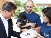 President of South Korea Rescues Meat Farm Dog President of South Korea Rescues Meat Farm Dog