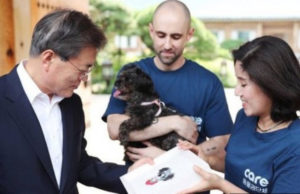President of South Korea Rescues Meat Farm Dog President of South Korea Rescues Meat Farm Dog