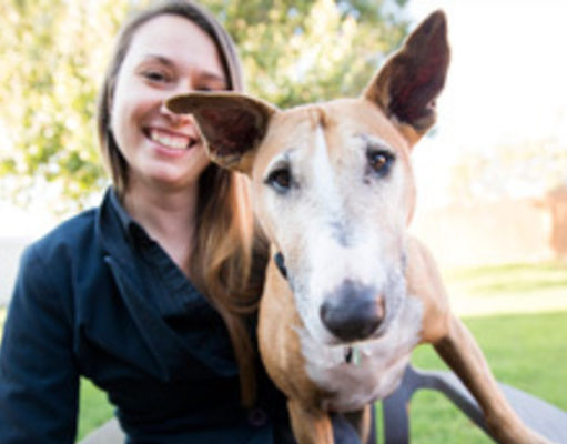 Therapy Dogs May Help Autistic Children Therapy Dogs May Help Autistic Children