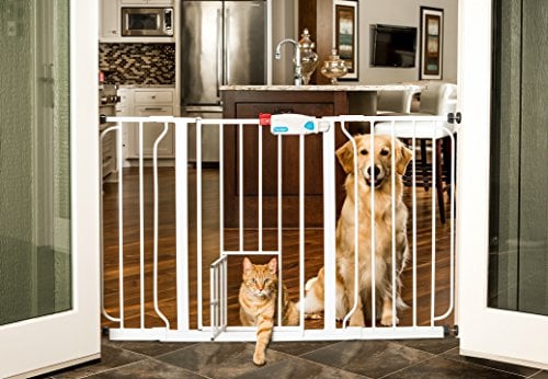 dog knocks down baby gate