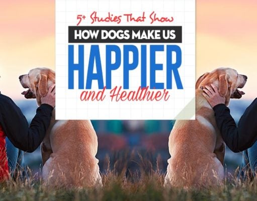 Studies That Show How Dogs Make Us Happier and Healthier All the Studies That Show How Dogs Make Us Happier and Healthier