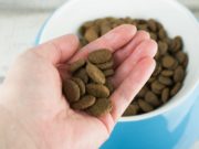 19 Tips for Picking a Good Dog Food Brand Choosing A Good Dog Food