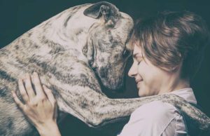 Study Shows We Share Similar Genes With Dogs That Impact Our Social Abilities Dogs Share Genes with Humans for Social Abilities