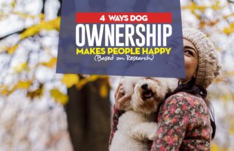 4 Ways Dog Ownership Makes People Happy (Based on Research) How Dog Ownership Makes People Happy