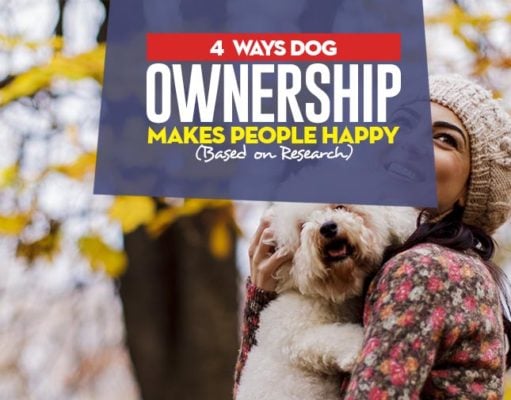 4 Ways Dog Ownership Makes People Happy (Based on Research) How Dog Ownership Makes People Happy