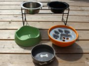 How to Choose the Right Dog Bowl How To Choose the Right Dog Bowl