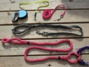 How to Choose the Right Dog Leash How To Choose the Right Dog Leash