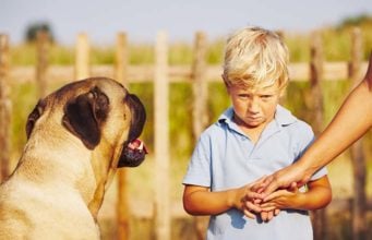 Kids Don’t Know Not to Approach Frightened Dogs and It’s a Problem Kids Don’t Know Not to Approach Frightened Dogs and It's a Problem
