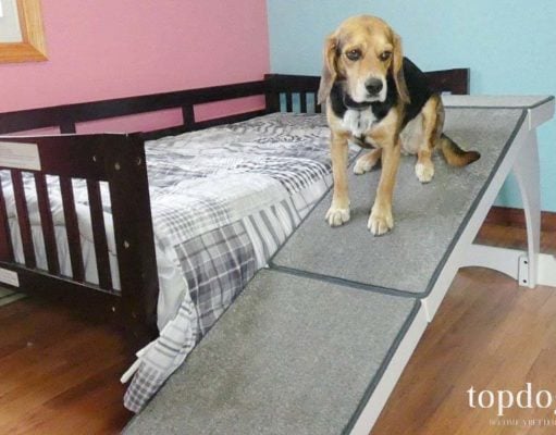 Review: PetSafe CozyUp Bed Ramp for Dogs PetSafe CozyUp Bed Ramp for Dogs