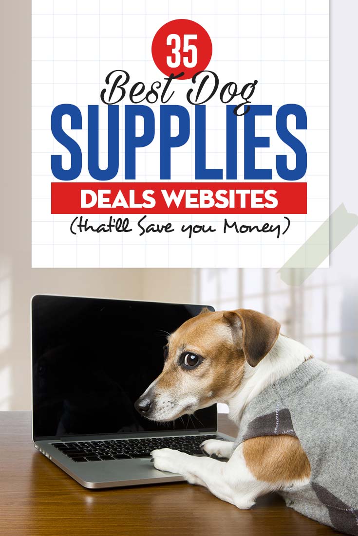 websites for dog stuff