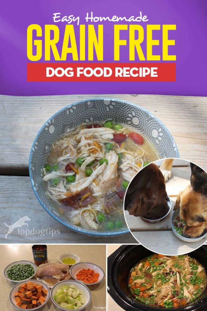 Homemade Grain Free Dog Food Recipe – Top Dog Tips